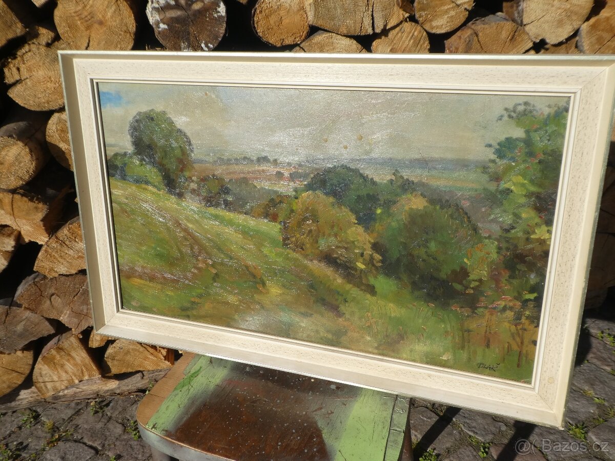 Obraz krajina Pilař