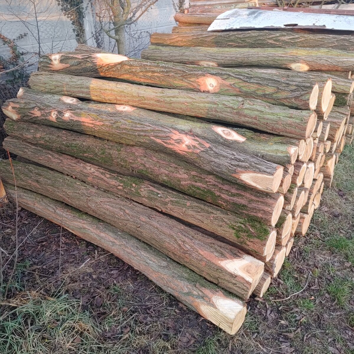 Akátové kůly - sloupky