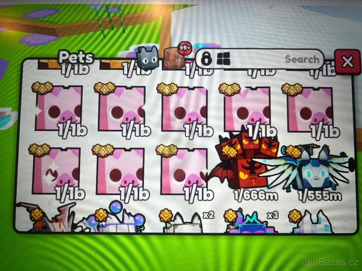 Pets go