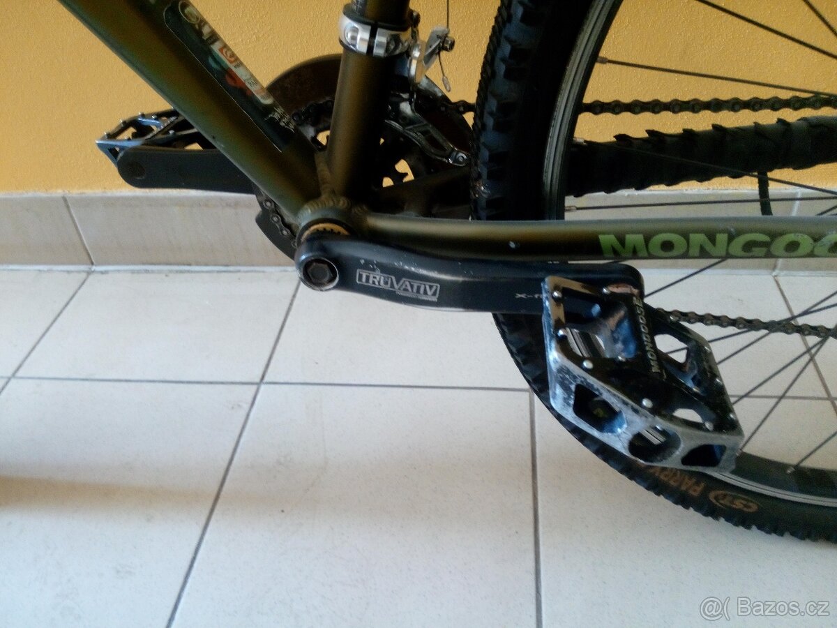 Mongoose