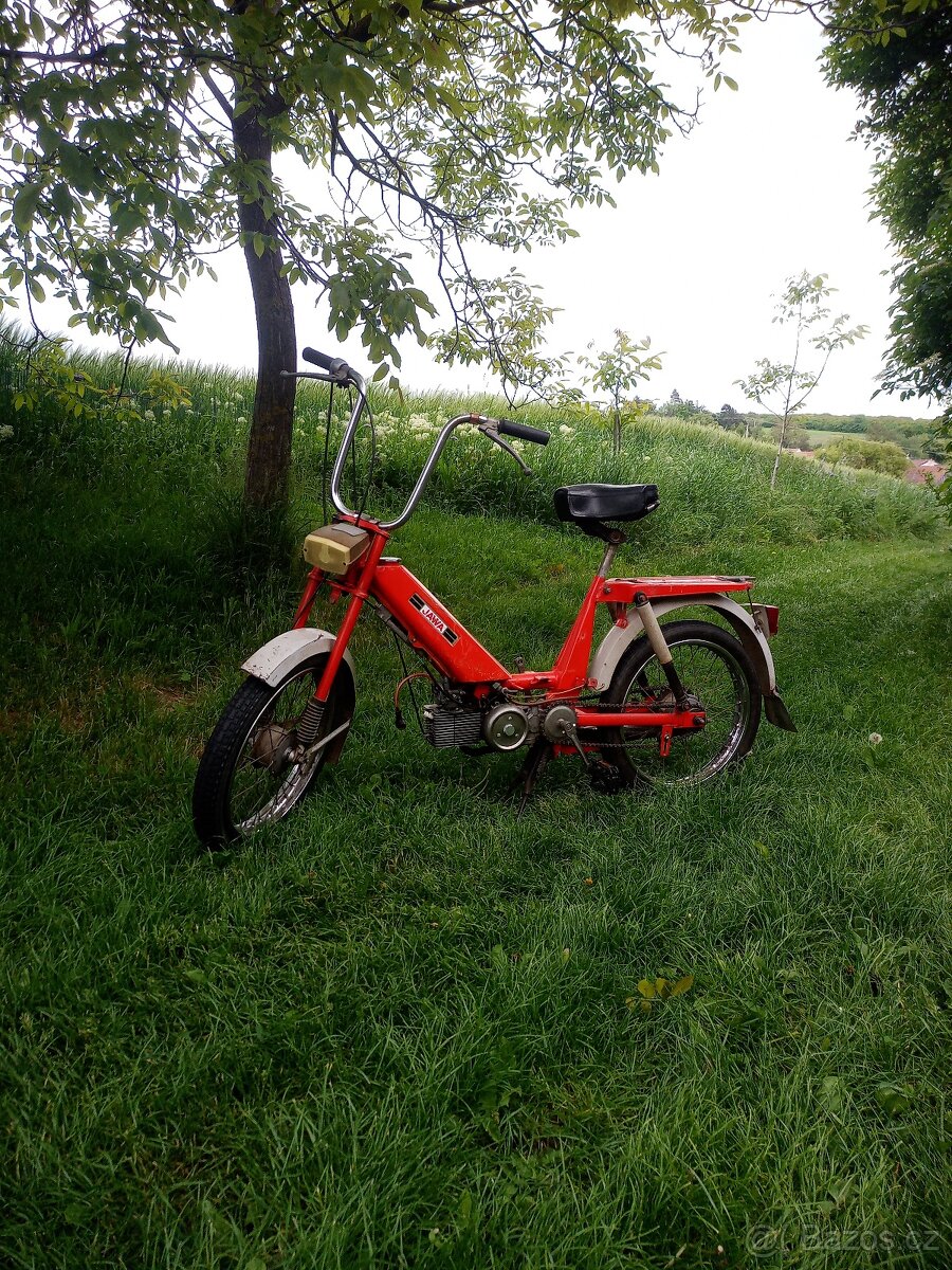 Babetta 207