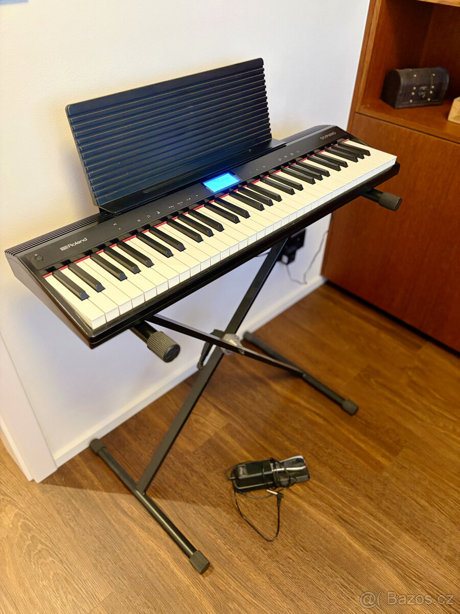 Roland GO:PIANO
