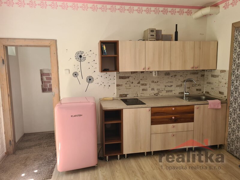 Pronájem hezkého, zařízeného bytu se zahradou 1+kk, Opava, u