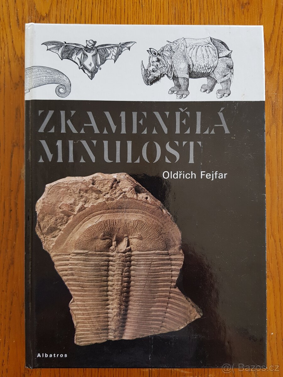 Zkamenělá minulost