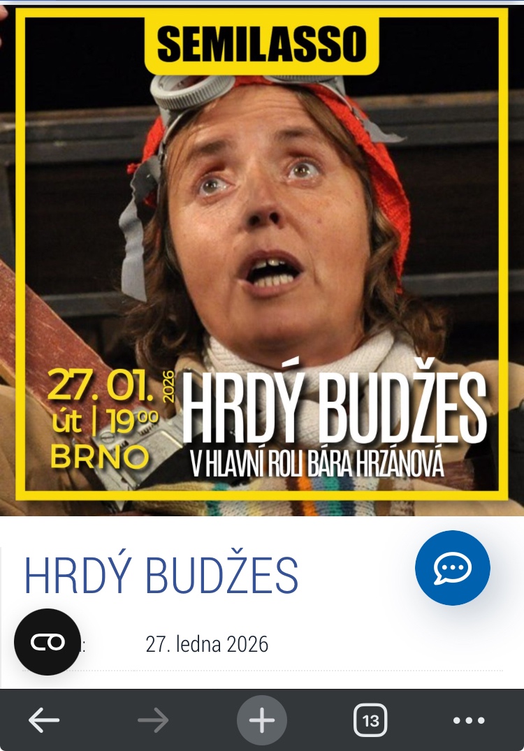 HRDÝ BUDŽES
