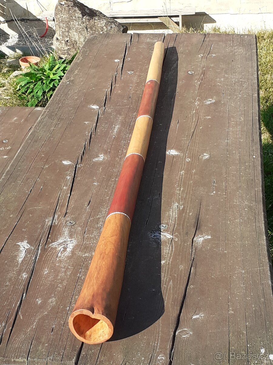 Didgeridoo 005