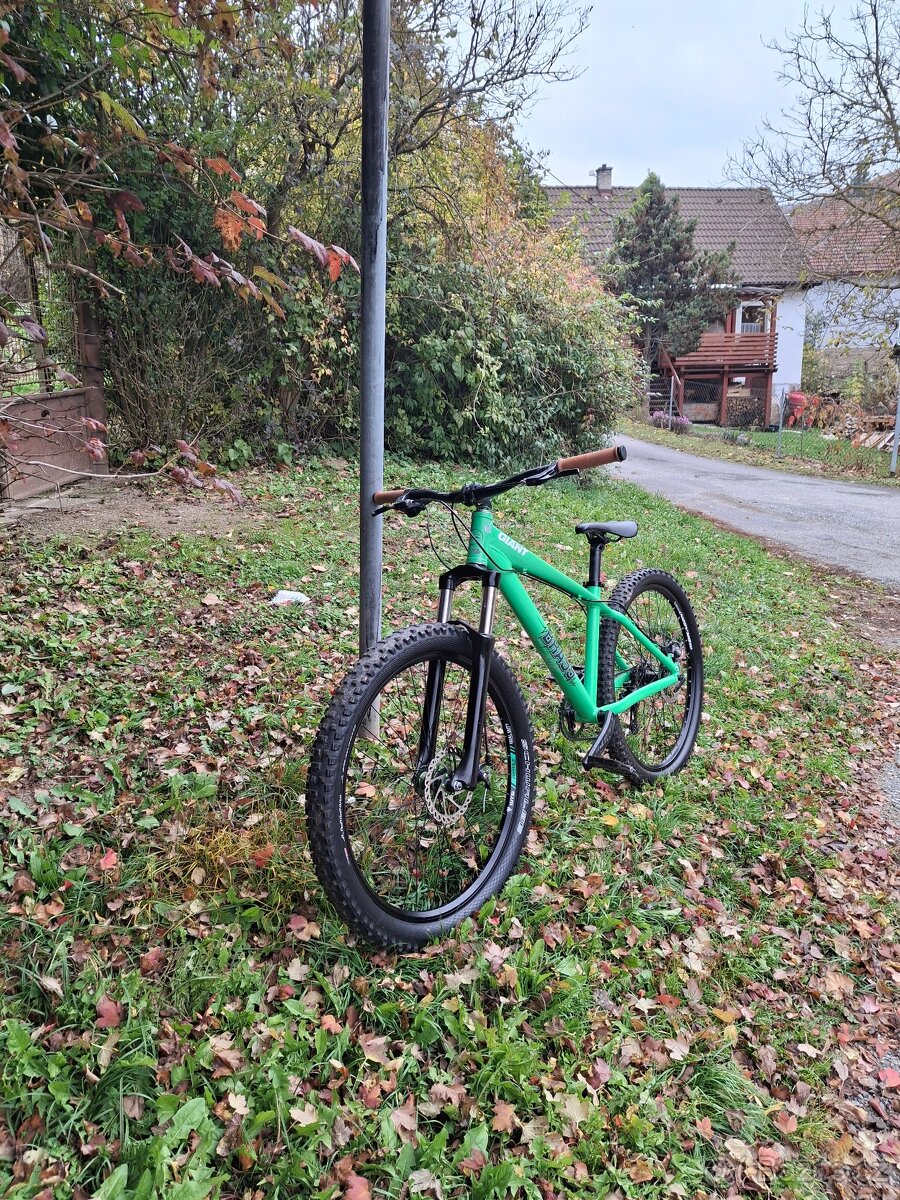 Dirťák