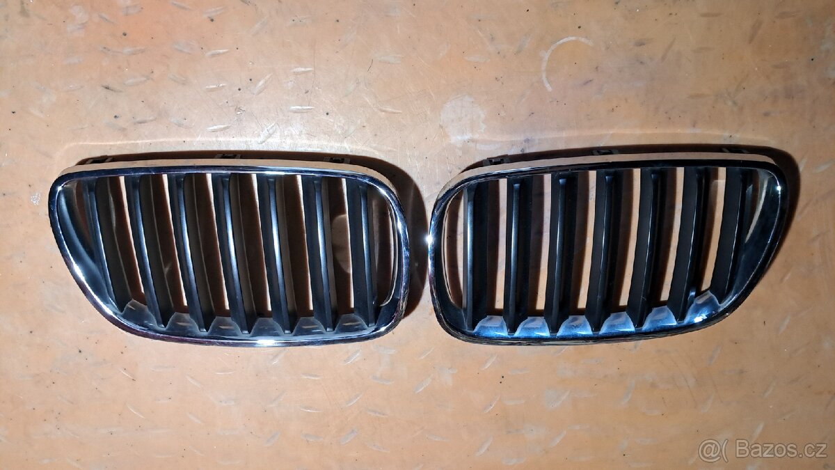 Ledvinky Bmw