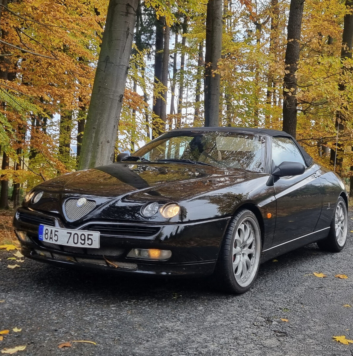 Spider V6 24V