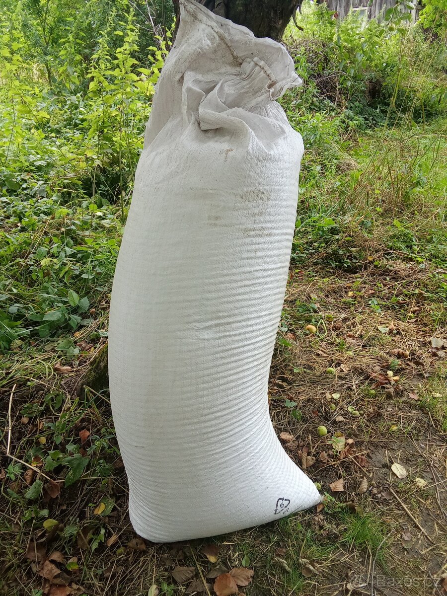 Vlaška koroptví a leghorna bílá