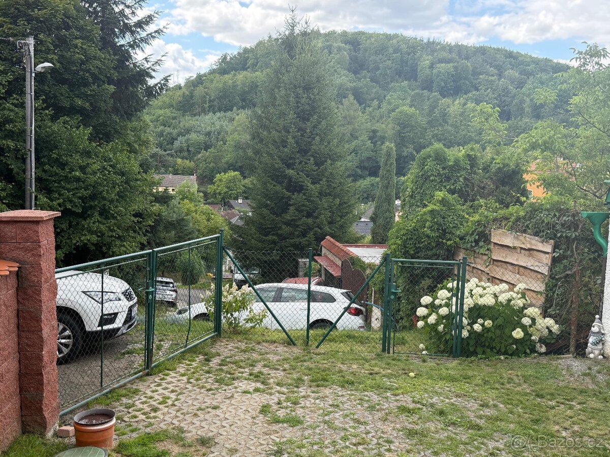 plot ( brana a branka)
