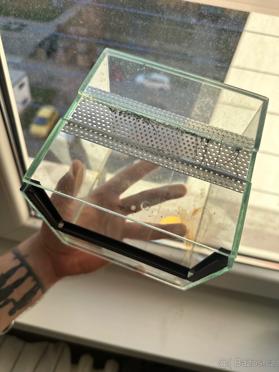 terarium 15x15x15