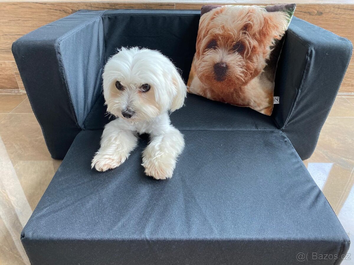 Psí pelíšek- rozkládací pohovka