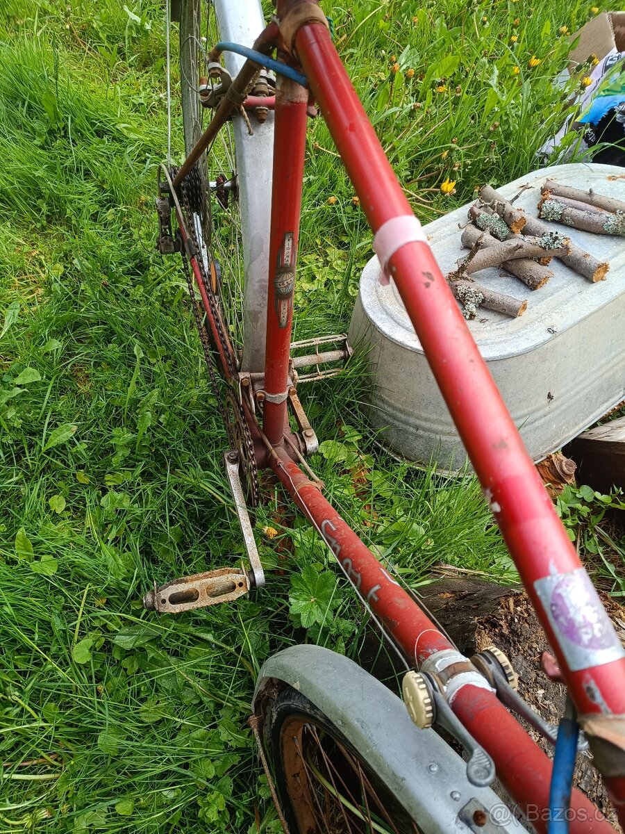 Zachovalý favorit 60cm