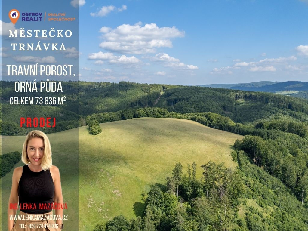 Prodej souboru zemědělských pozemků, 73 836 m², Městečko Trn