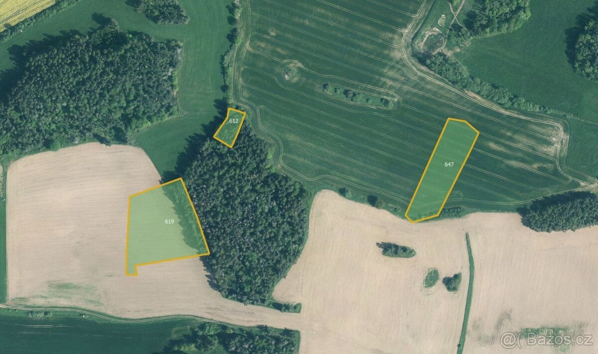 Louka, prodej, Úlehle, Strakonice