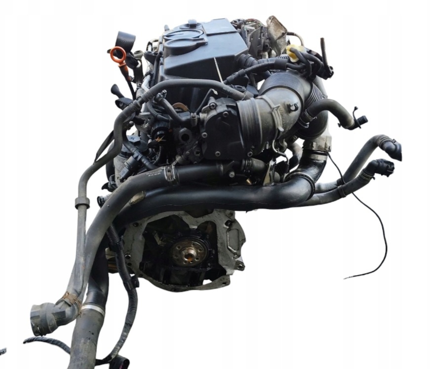 Motor 1.9 TDI 77 Kw Bls