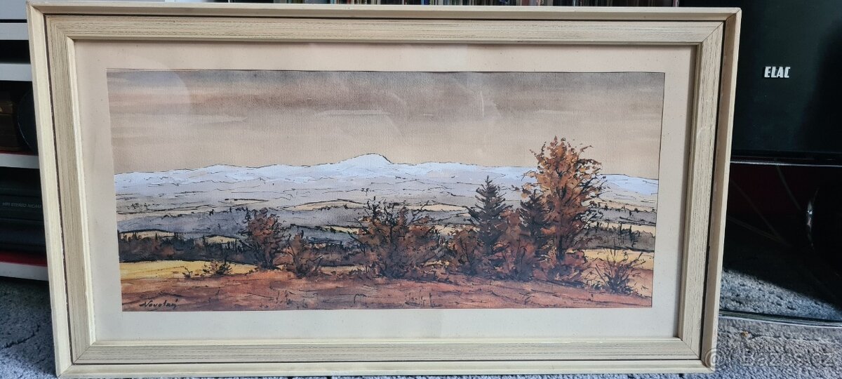 Obraz NOVOTNÝ (č.11)