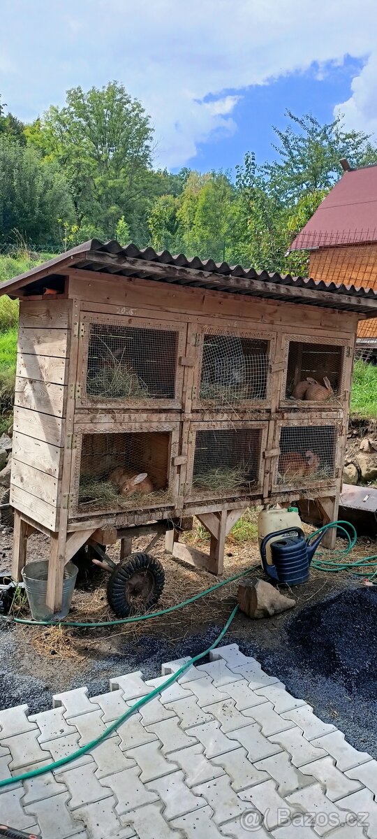 Králíkárna 6 kotců