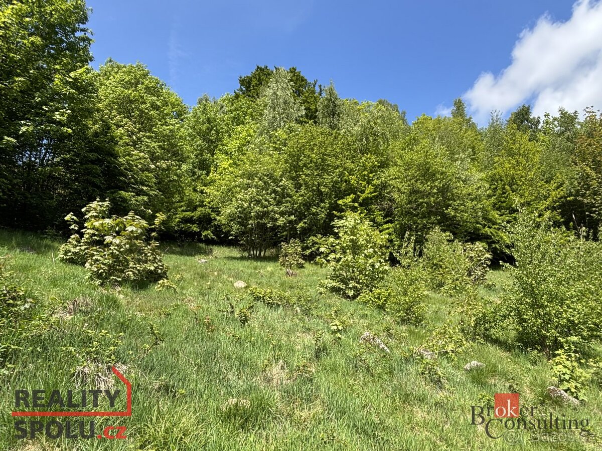 Prodej, pozemky/bydlení, 1161 m2, Hraničná, 46811 Janov nad