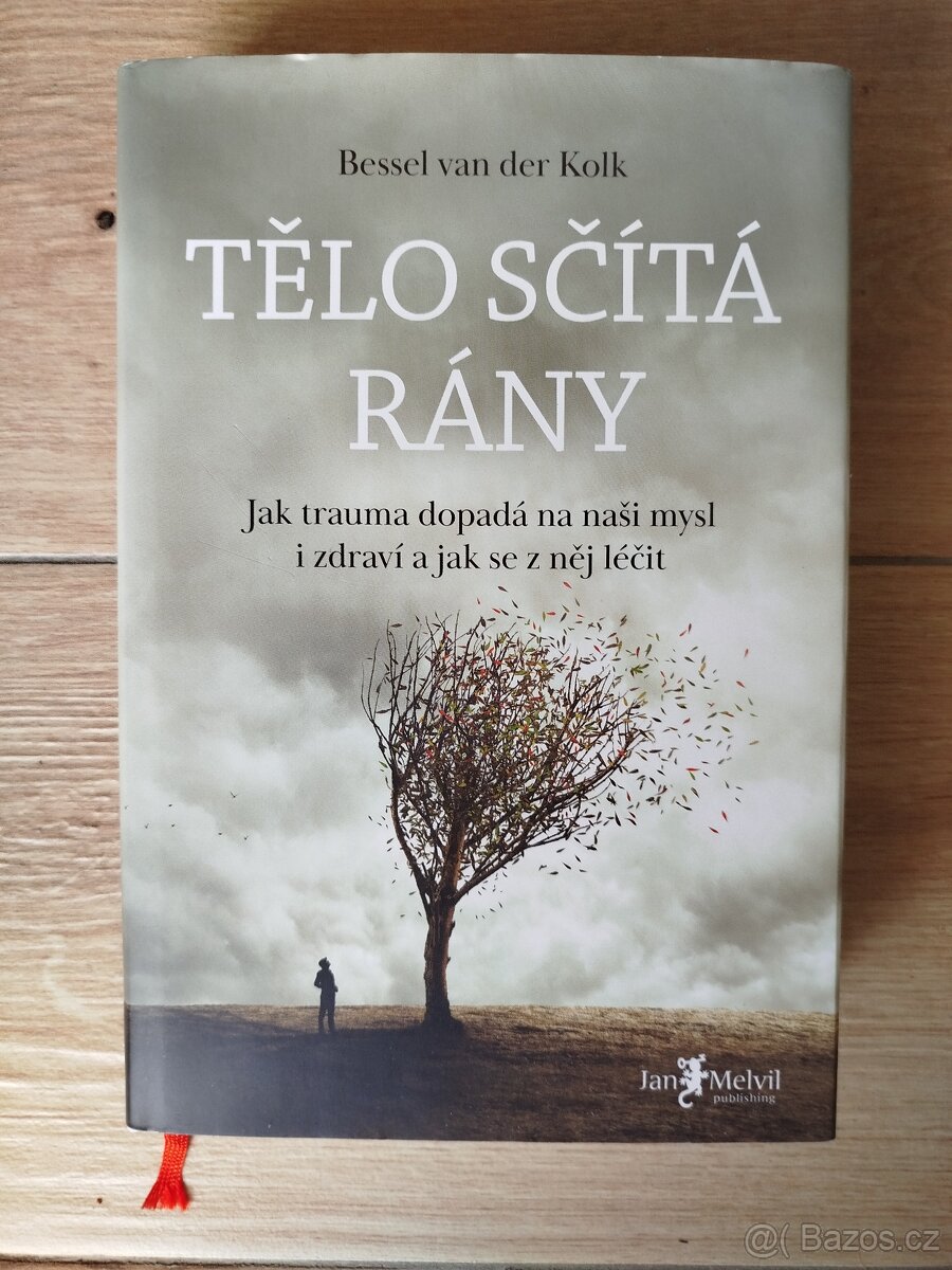 van der Kolk: Tělo sčítá rány