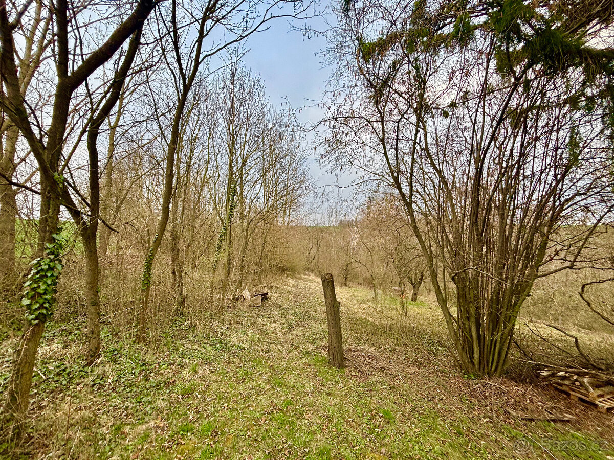 Pozemek/zahrada kousek od Brna