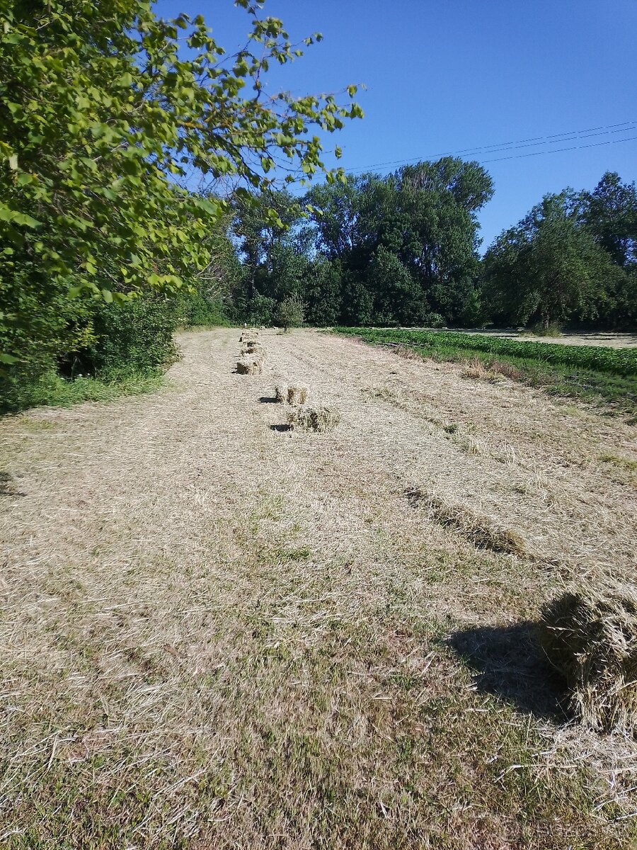 Letošní seno