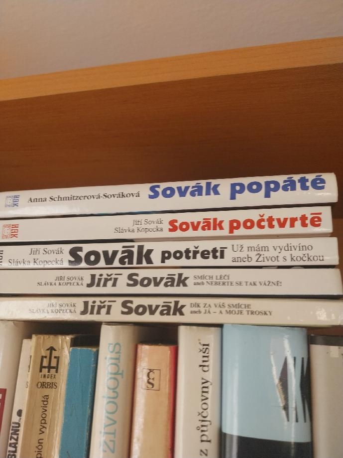 Jiří Sovák