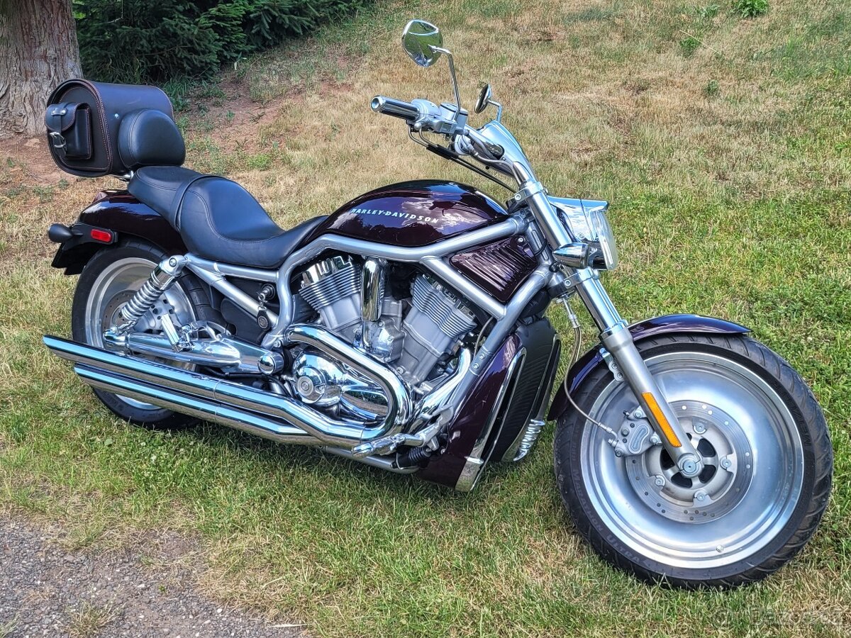 Harley Davidson - V ROD VRSCA
