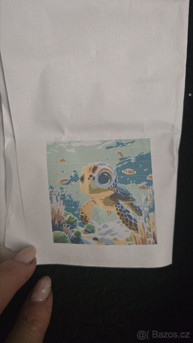 Sada na malovani želva