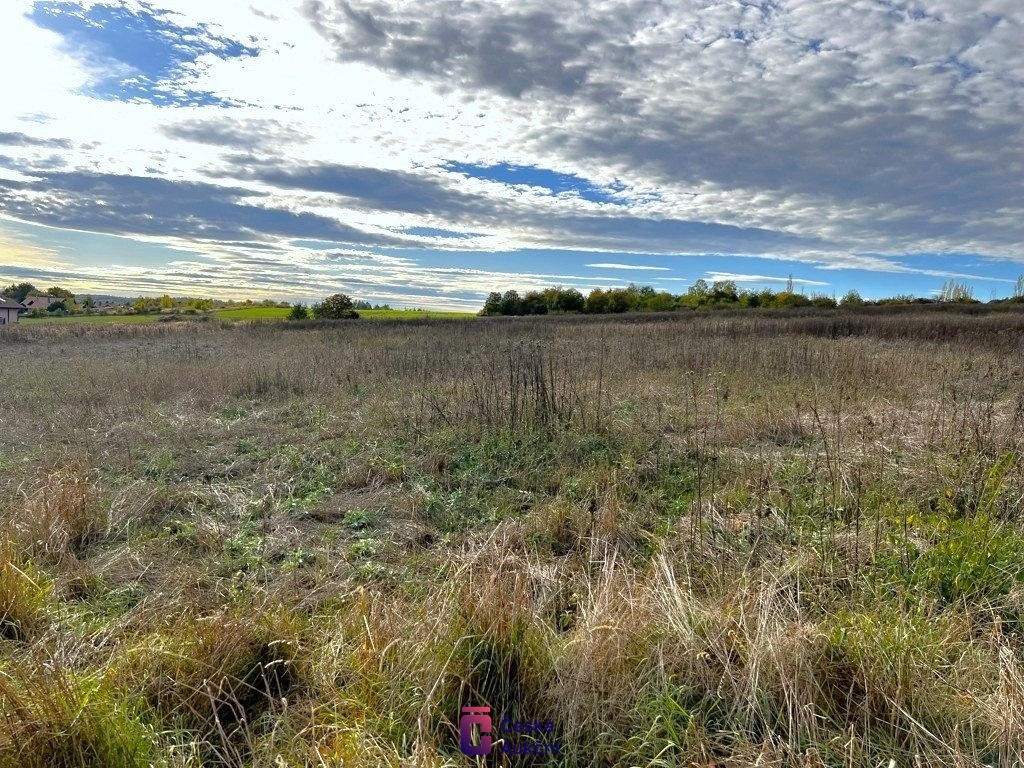 Prodej pozemky - trvalý travní porost, 4 429 m2 - Libeř