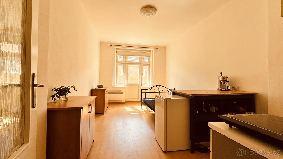 Pronájem byty 1+kk, 24 m2 - Praha - Žižkov, ev.č. 00054
