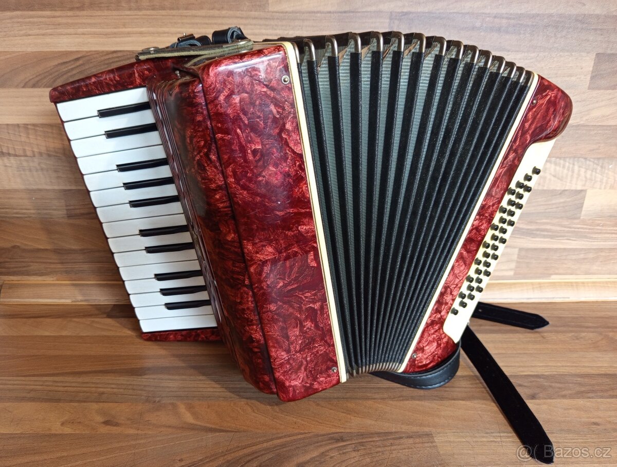Akordeon (harmonika, heligonka) Delicia Lignatone