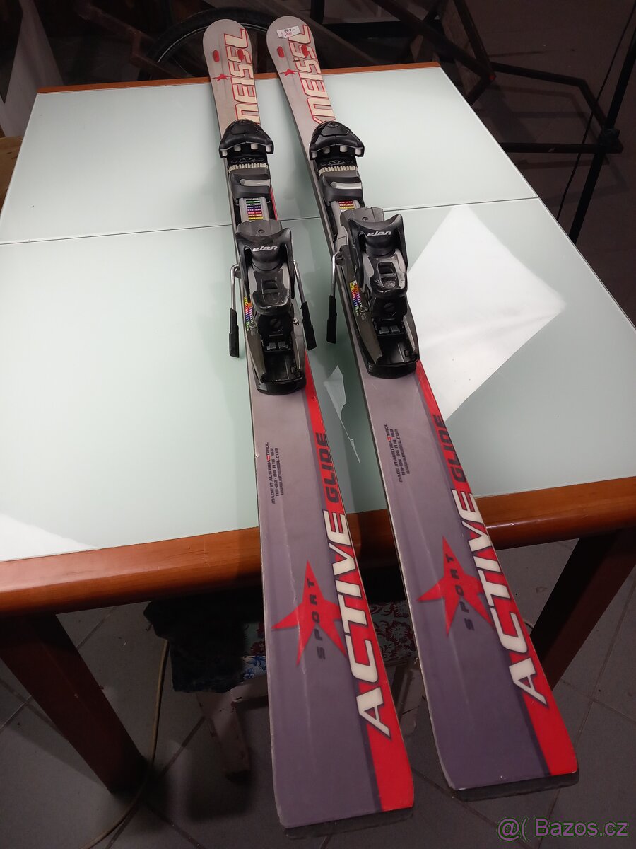 Lyže Elan Active Glide