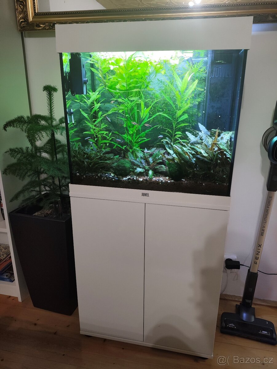 Akvarijní set Juwel Lido 120L