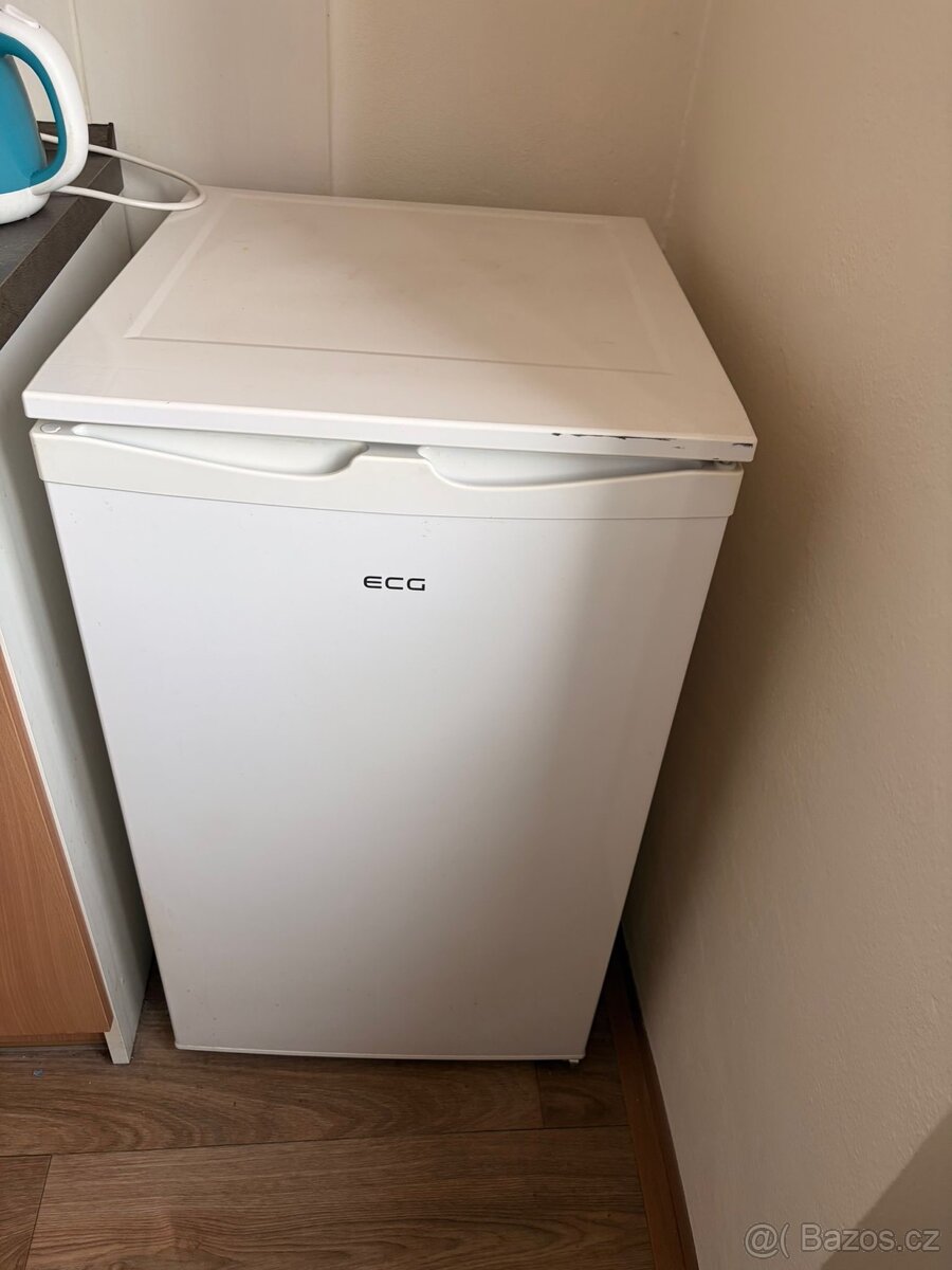Malá lednice s mrazákem : Značka ECG