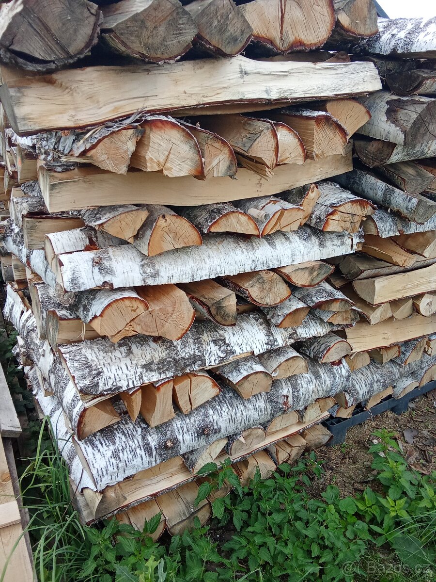 Palivové dřevo Bříza suché