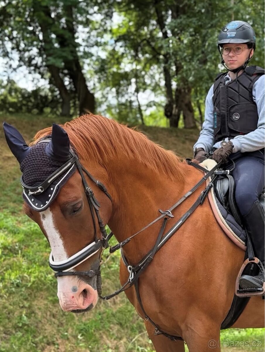 Krásný Valach na rekreaci a hobby