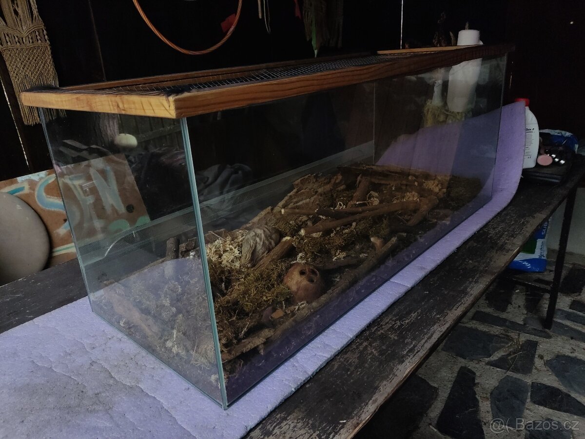 Terárium pro plazy