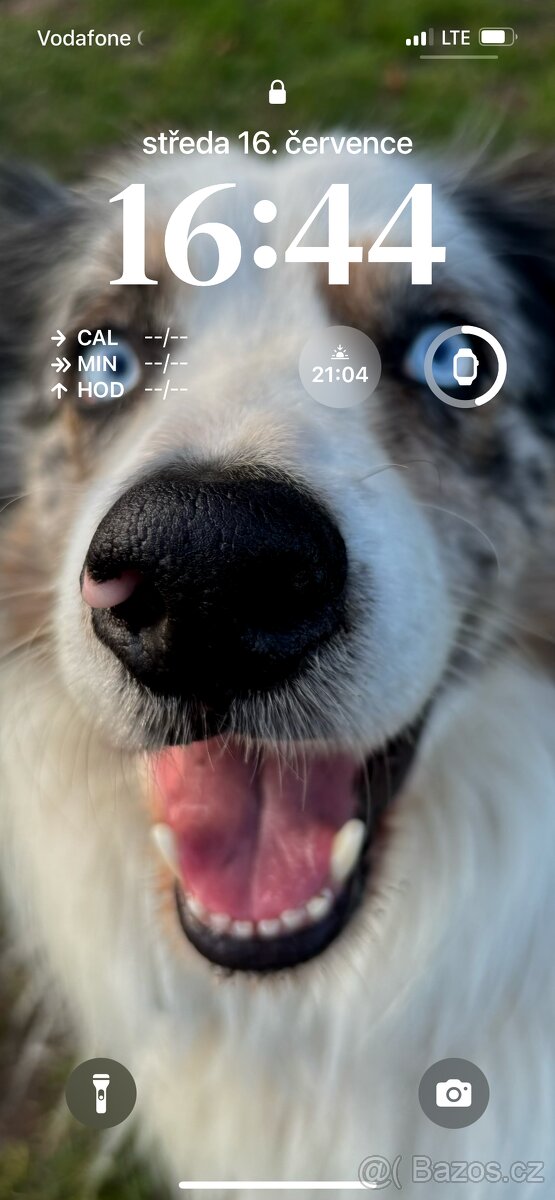 Krytí Border kolie bluemerle