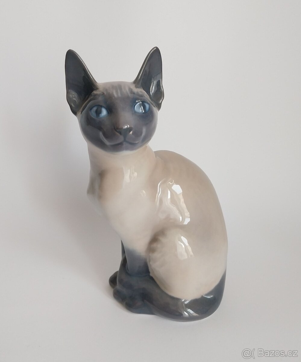 Královská Kodaň - siamská kočka