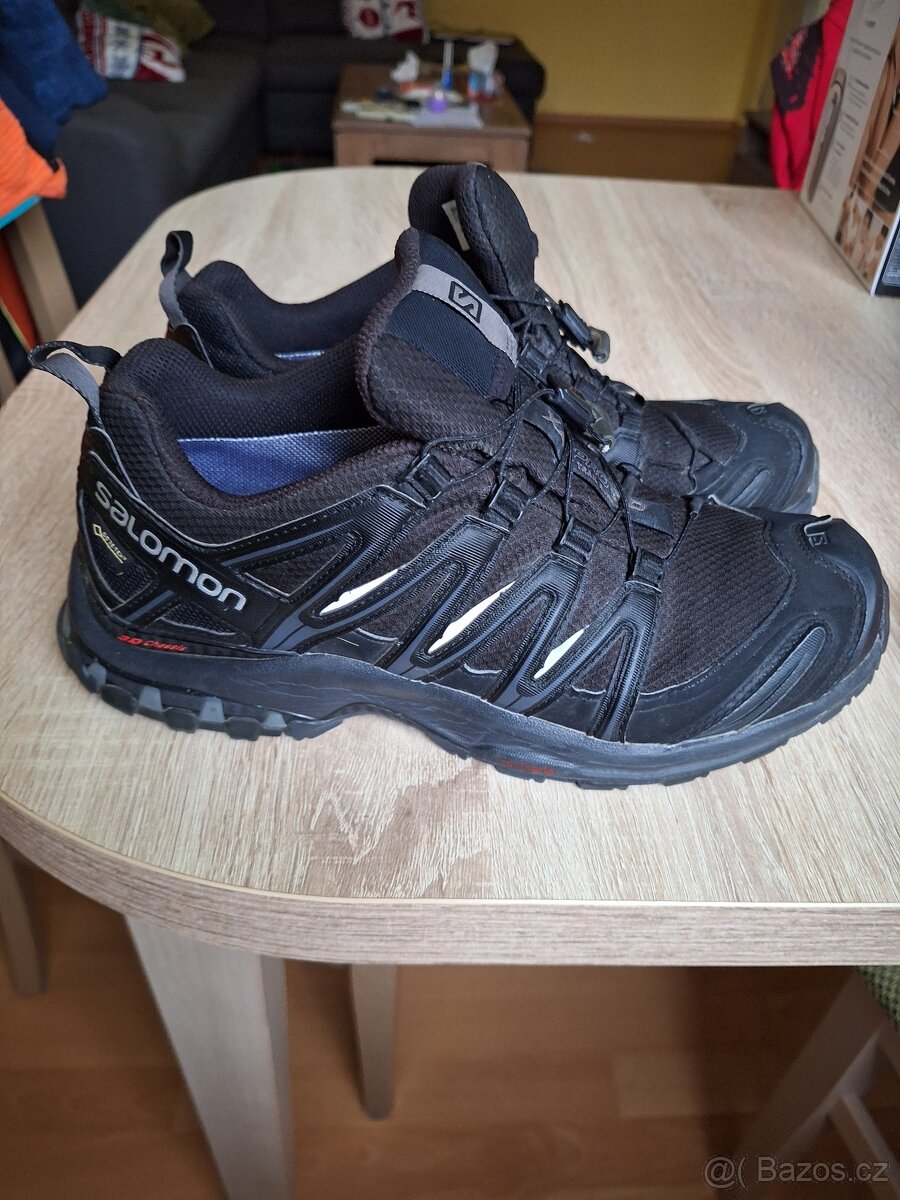 Salomon XA Pro 3D v.42