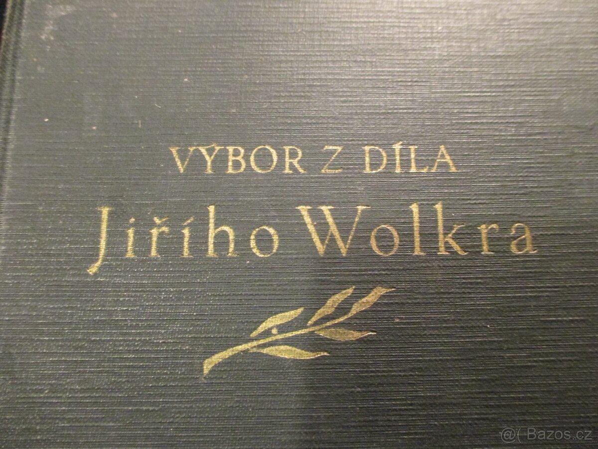 Výbor z díla Jiřího Wolkera