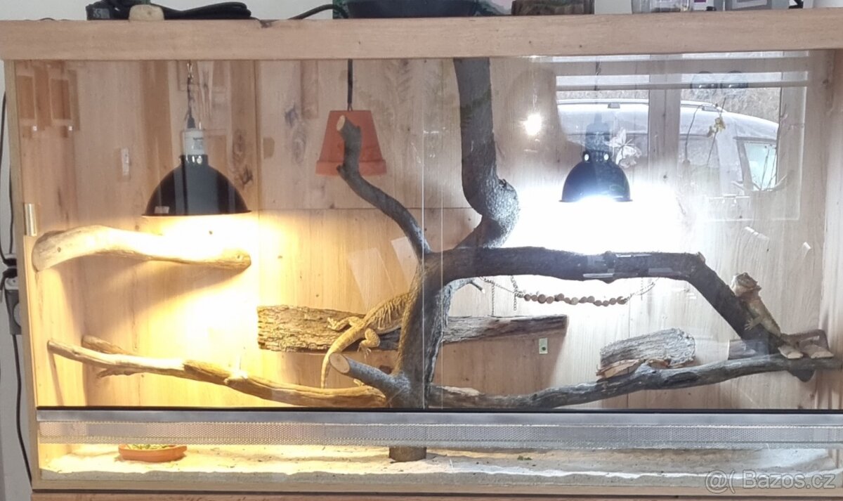 Terarium zlaty Dub 150cm
