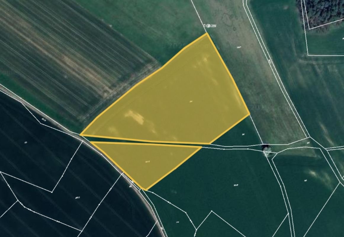 Prodej pole v k.ú. Bílá u Českého Dubu