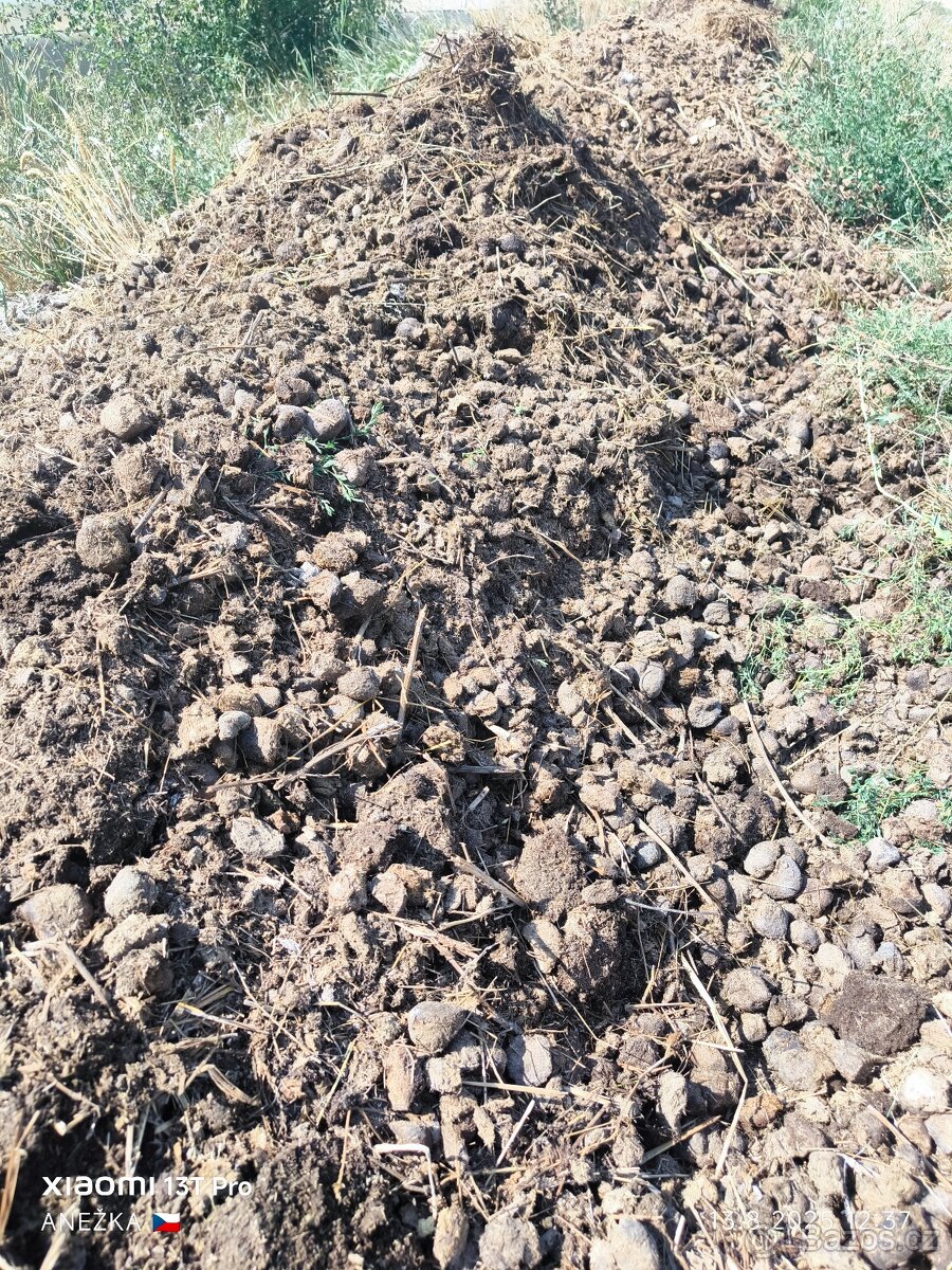 Koňský hnůj