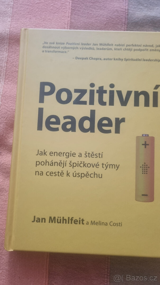 Pozitivní leader