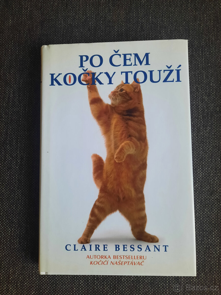 Po čem kočky touží Claire Bessant vyd.2002