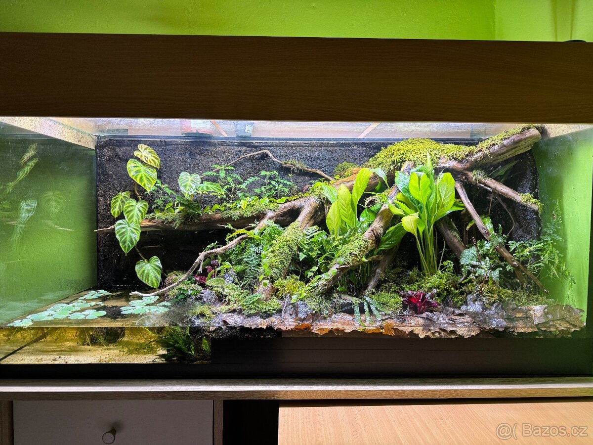 Terárium / Paludárium 110x45x50