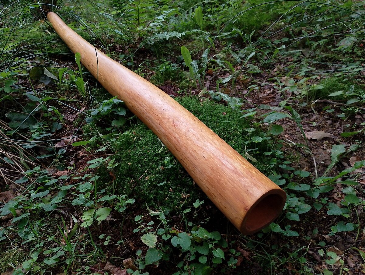 Didgeridoo - Olše
